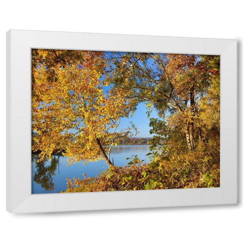 Lake Sequoyah Autumn-Arkansas White Modern Wood Framed Art Print by Fitzharris, Tim