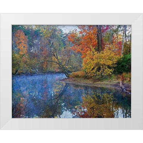 Petit Jean River-Petit Jean State Park-Arkansas. White Modern Wood Framed Art Print by Fitzharris, Tim