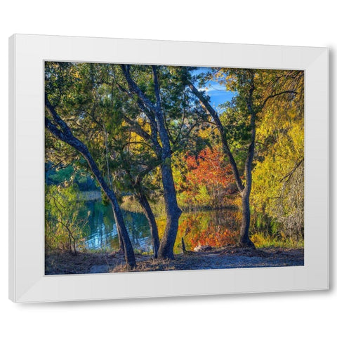 Inks Lake-Inks Lake State Park-Texas White Modern Wood Framed Art Print by Fitzharris, Tim