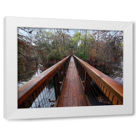 Santa Fe River-OLeno State Park-Florida White Modern Wood Framed Art Print by Fitzharris, Tim