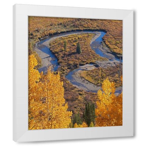 East River near Gothic-Colorado White Modern Wood Framed Art Print by Fitzharris, Tim