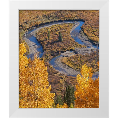 East River near Gothic-Colorado White Modern Wood Framed Art Print by Fitzharris, Tim