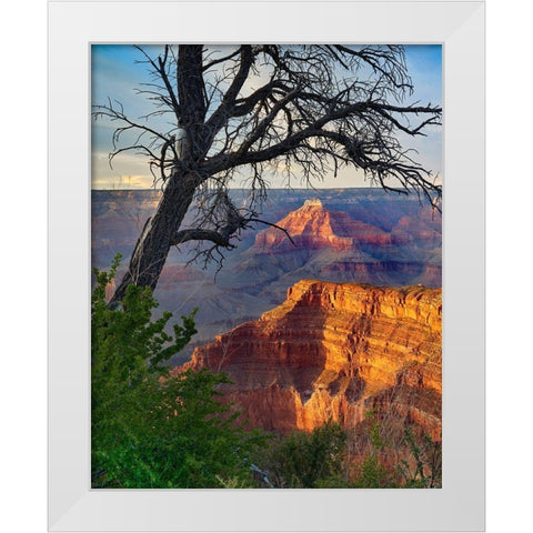Sagittarius Ridge from Pima Point-Grand Canyon National Park-Arizona White Modern Wood Framed Art Print by Fitzharris, Tim