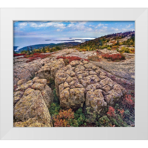 Cadillac Mountain-Acadia National Park-Maine White Modern Wood Framed Art Print by Fitzharris, Tim