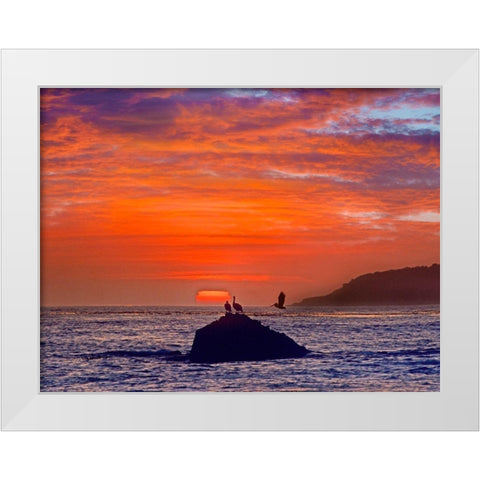 Big Sur Coast-California-USA White Modern Wood Framed Art Print by Fitzharris, Tim