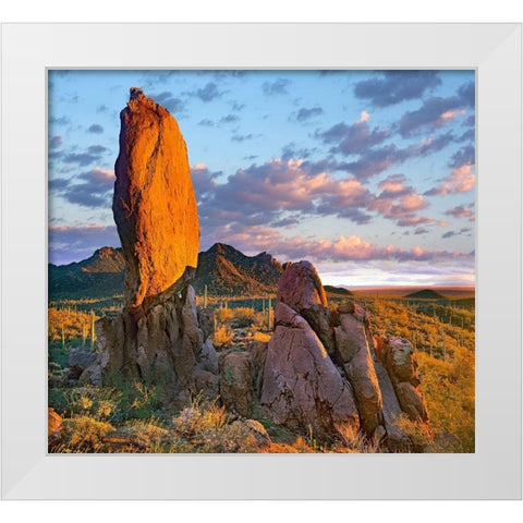 Tucson Mountains-Saguaro National Park-Arizona White Modern Wood Framed Art Print by Fitzharris, Tim