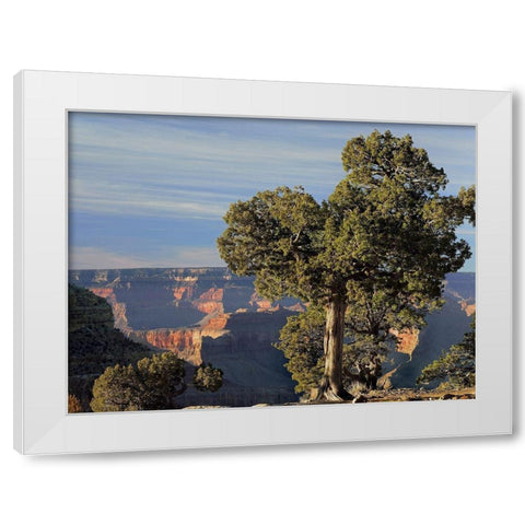 Hermits Rest-South Rim of Grand Canyon National Park-Arizona White Modern Wood Framed Art Print by Fitzharris, Tim