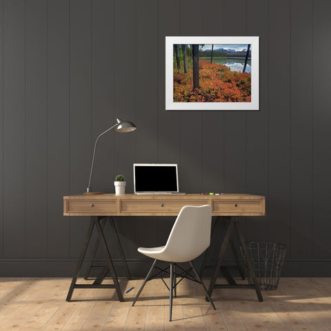 Sawtooth National Recreation Area-Idaho White Modern Wood Framed Art Print by Fitzharris, Tim