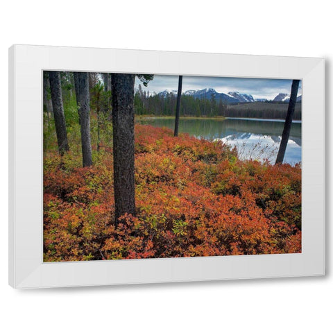 Sawtooth National Recreation Area-Idaho White Modern Wood Framed Art Print by Fitzharris, Tim