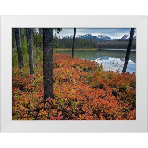 Sawtooth National Recreation Area-Idaho White Modern Wood Framed Art Print by Fitzharris, Tim