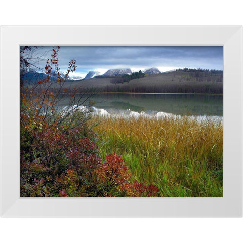 Sawtooth Mountains-Sawtooth National Recreation Area-Idaho White Modern Wood Framed Art Print by Fitzharris, Tim