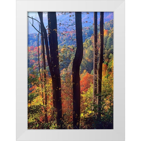 Blue Ridge Parkway near Deep Gap-North Carolina White Modern Wood Framed Art Print by Fitzharris, Tim