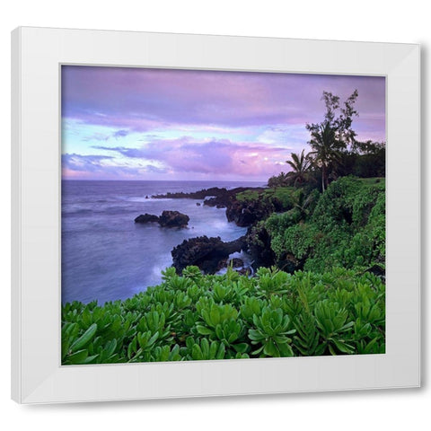 Hana Coast Maui White Modern Wood Framed Art Print by Fitzharris, Tim