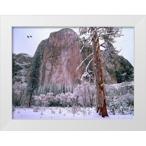 El Capitan in winter-Yosemite National Park-California White Modern Wood Framed Art Print by Fitzharris, Tim