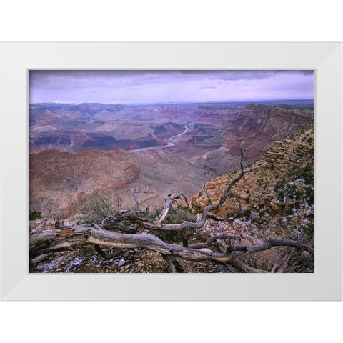 Colorado River from Desert View-Grand Canyon National Park-Arizona White Modern Wood Framed Art Print by Fitzharris, Tim
