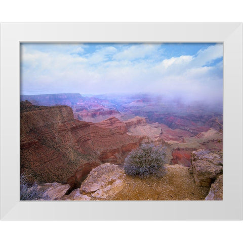 Moran Point-South Rim-Grand Canyon National Park-Arizona White Modern Wood Framed Art Print by Fitzharris, Tim