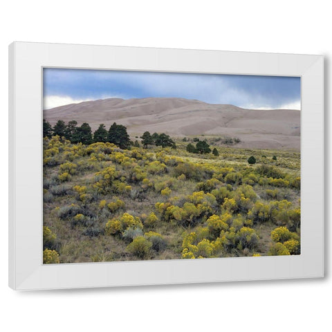 Great Sand Dunes National Park-Colorado White Modern Wood Framed Art Print by Fitzharris, Tim