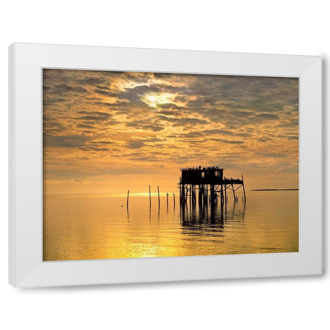 Pelicans-Cedar Key-Florida White Modern Wood Framed Art Print by Fitzharris, Tim