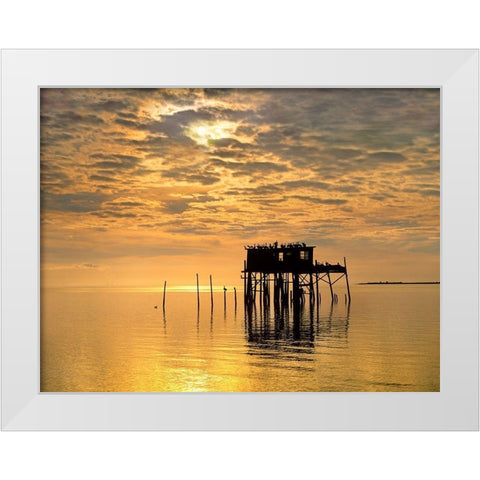 Pelicans-Cedar Key-Florida White Modern Wood Framed Art Print by Fitzharris, Tim