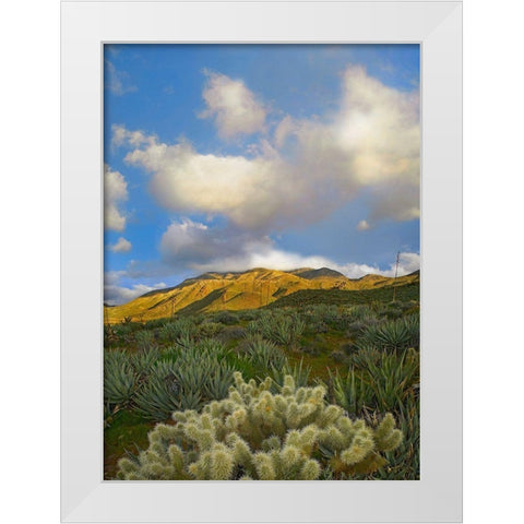 Cholla Cactus and Agaves-Mason Valley-California White Modern Wood Framed Art Print by Fitzharris, Tim