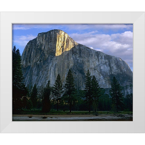 El Capitan at Yosemite Valley-Yosemite National Park-California White Modern Wood Framed Art Print by Fitzharris, Tim