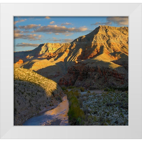 Virgin River and Virgin Mountains-Arizona White Modern Wood Framed Art Print by Fitzharris, Tim