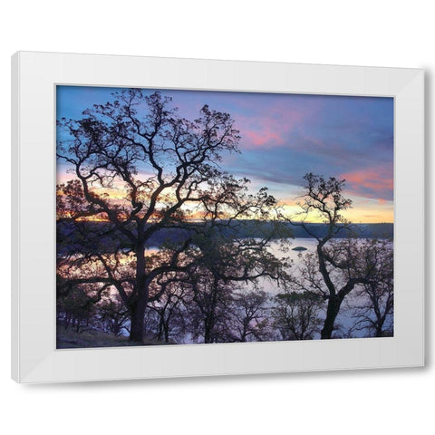 Melones Lake-Calaveras County-California White Modern Wood Framed Art Print by Fitzharris, Tim