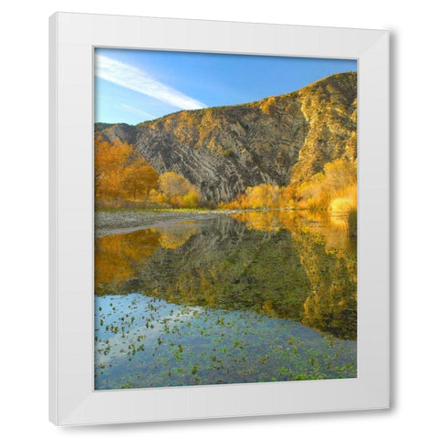 Mountains Reflected in Santa Ynez River-California White Modern Wood Framed Art Print by Fitzharris, Tim