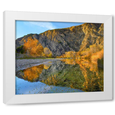 Santa Ynez Mountains Reflected in Santa Ynez River-California White Modern Wood Framed Art Print by Fitzharris, Tim