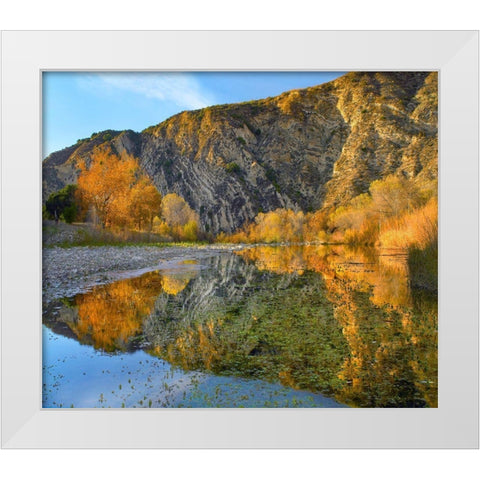 Santa Ynez Mountains Reflected in Santa Ynez River-California White Modern Wood Framed Art Print by Fitzharris, Tim