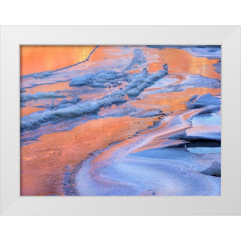 Ice on Colorado River-Cataract Canyon near Moab-Utah White Modern Wood Framed Art Print by Fitzharris, Tim