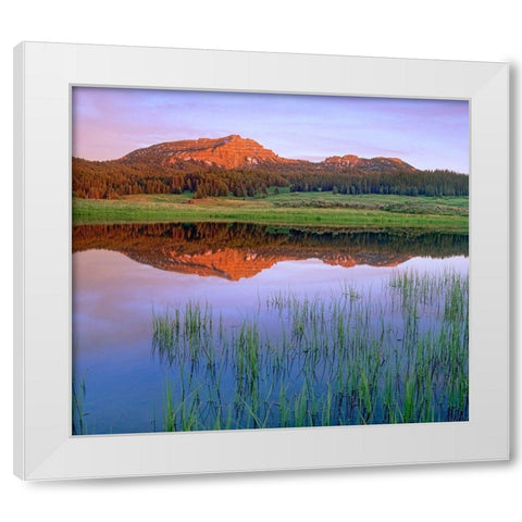 Tripod Peak at Togwotee Pass-Wyoming White Modern Wood Framed Art Print by Fitzharris, Tim