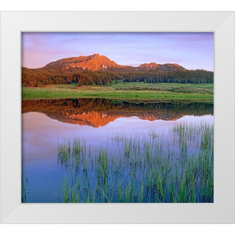 Tripod Peak at Togwotee Pass-Wyoming White Modern Wood Framed Art Print by Fitzharris, Tim