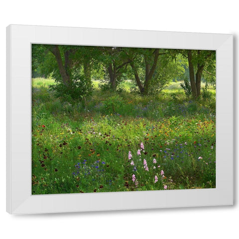 Wildflower Meadow at Jacksonport State Park-Arkansas White Modern Wood Framed Art Print by Fitzharris, Tim