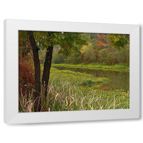 Wilton Landing at Millwood Lake-Arkansas White Modern Wood Framed Art Print by Fitzharris, Tim