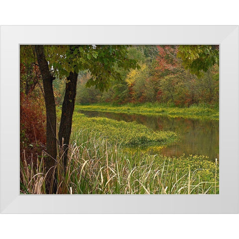 Wilton Landing at Millwood Lake-Arkansas White Modern Wood Framed Art Print by Fitzharris, Tim