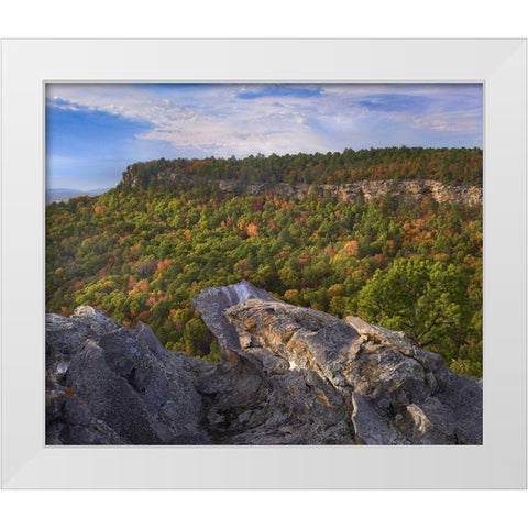 Cedar Canyon at Palisades Overlook-Petit Jean State Park-Arkansas White Modern Wood Framed Art Print by Fitzharris, Tim