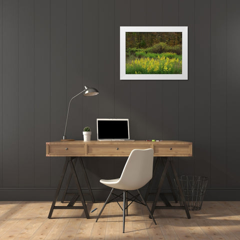 Goldenrods near DeQueen-Arkansas White Modern Wood Framed Art Print by Fitzharris, Tim