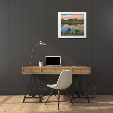 South Llano River State Park-Texas. White Modern Wood Framed Art Print by Fitzharris, Tim