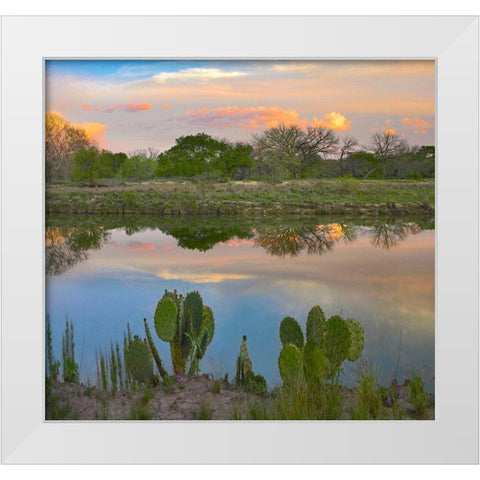 South Llano River State Park-Texas. White Modern Wood Framed Art Print by Fitzharris, Tim