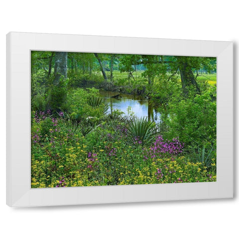 Big Thicket National Preserve-Lance Rosier-Texas White Modern Wood Framed Art Print by Fitzharris, Tim