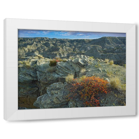 Makoshika State Park-Montana White Modern Wood Framed Art Print by Fitzharris, Tim