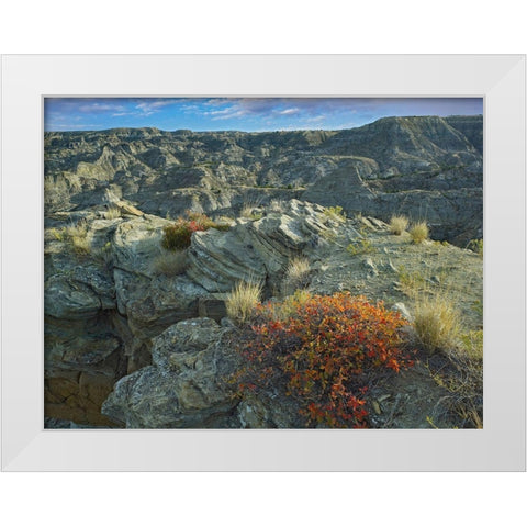 Makoshika State Park-Montana White Modern Wood Framed Art Print by Fitzharris, Tim