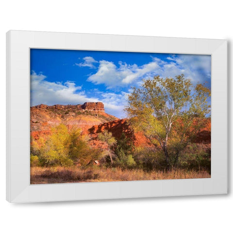 Sorensen Point-Palo Duro Canyon State Park-Texas White Modern Wood Framed Art Print by Fitzharris, Tim