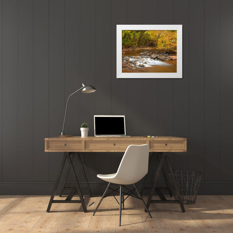 Oak Creek in autumn near Sedona-Arizona White Modern Wood Framed Art Print by Fitzharris, Tim