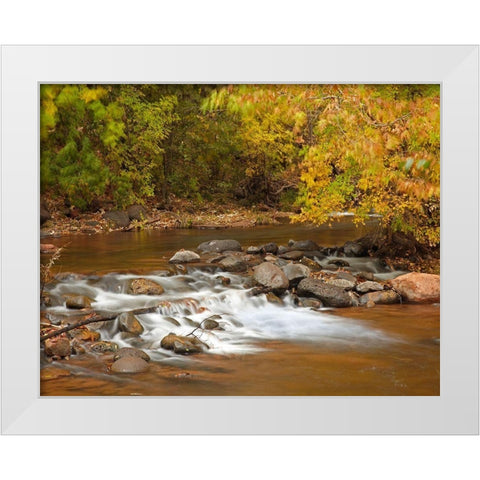 Oak Creek in autumn near Sedona-Arizona White Modern Wood Framed Art Print by Fitzharris, Tim