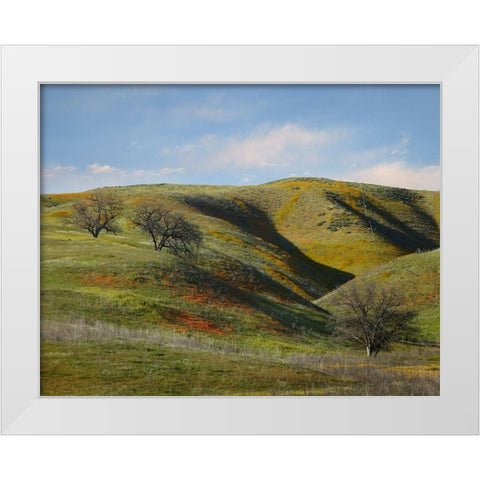 La Panza Range in Spring-Califonia White Modern Wood Framed Art Print by Fitzharris, Tim