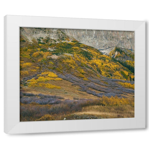 Sub-alpine Forest-Gothic Mountain-Colorado White Modern Wood Framed Art Print by Fitzharris, Tim