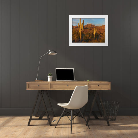 Tucson Mountains-Saguaro National Park-Arizona White Modern Wood Framed Art Print by Fitzharris, Tim