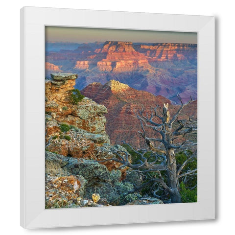 Desert View Overlook-Grand Canyon National Park-Arizona-USA White Modern Wood Framed Art Print by Fitzharris, Tim